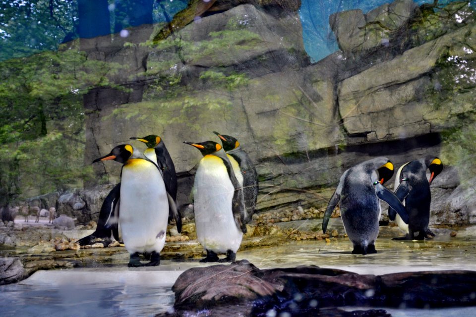 zoological garden