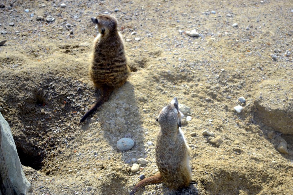 zoological garden