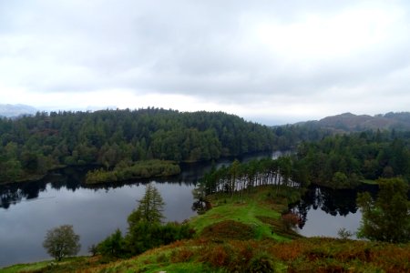 Tarn Hows 02 photo