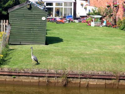 Sandbach Canal-side Garden