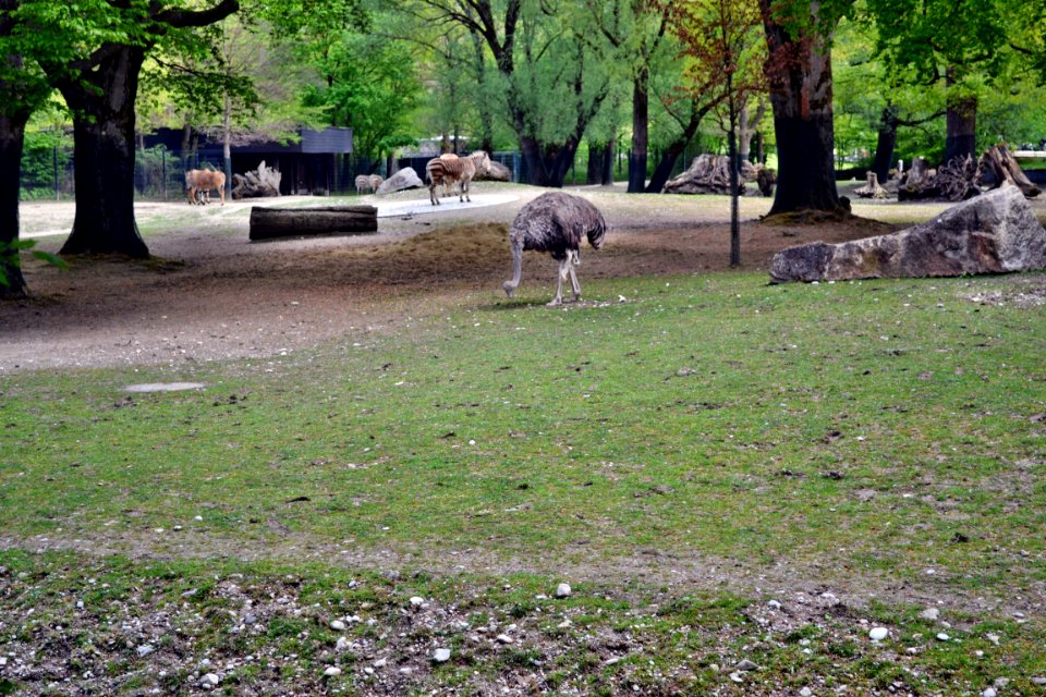 zoological garden