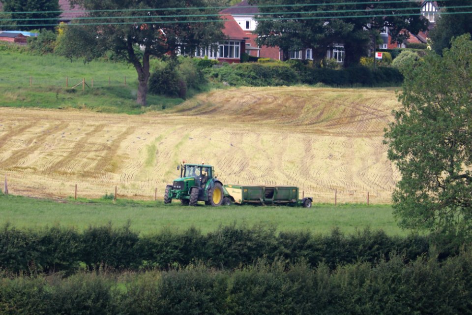 Brown Meadow photo