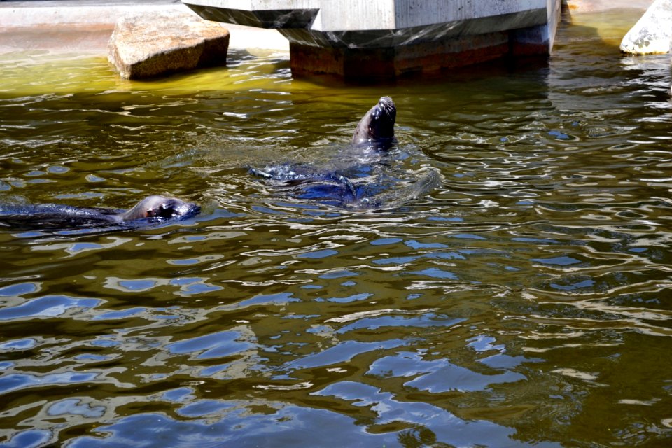 zoological garden