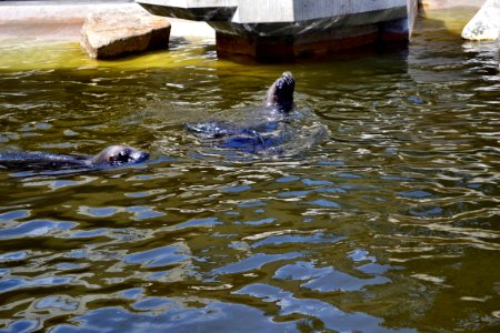 zoological garden