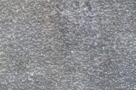 zinc6