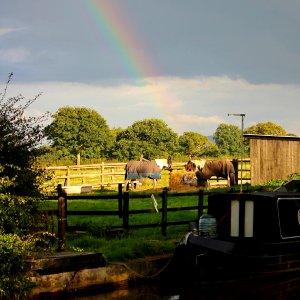 Hay; A Rainbow! photo