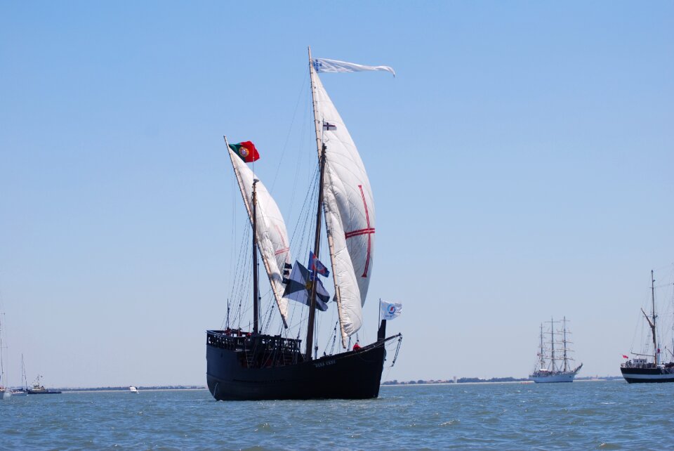 Caravela tejo portugal