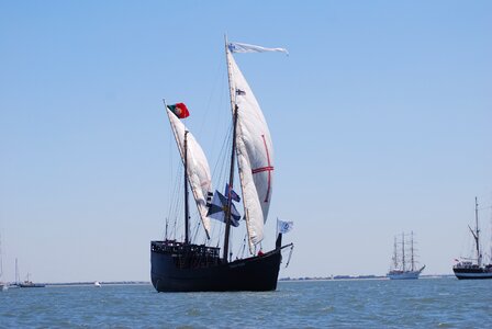 Caravela tejo portugal