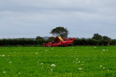 Grimme Agriculture photo