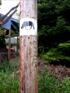 5/16/2015 Woodstock Gap
