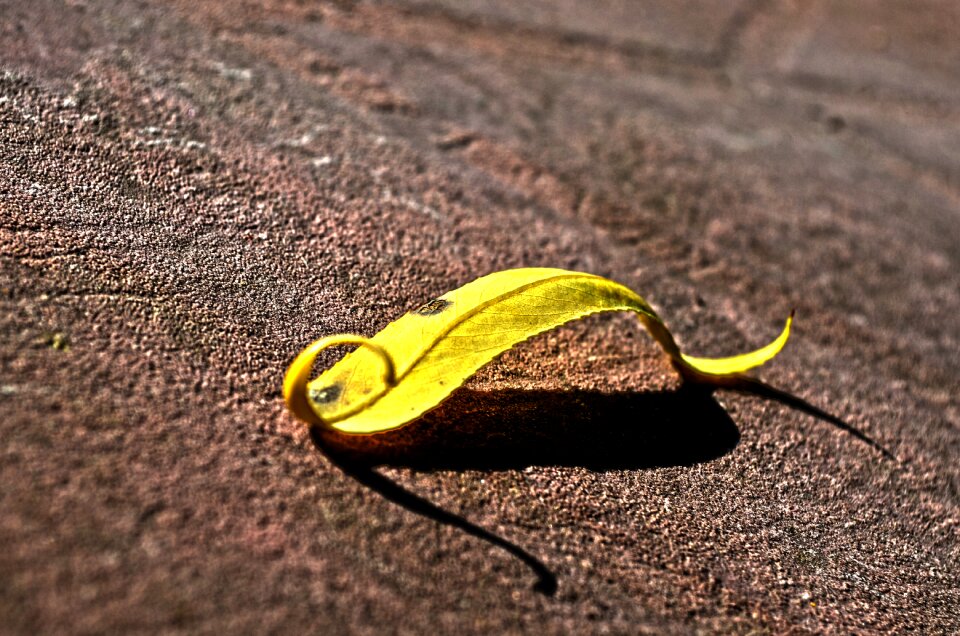 Sheet yellow twisted