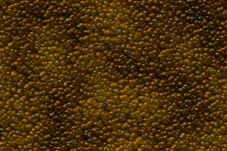 free texture