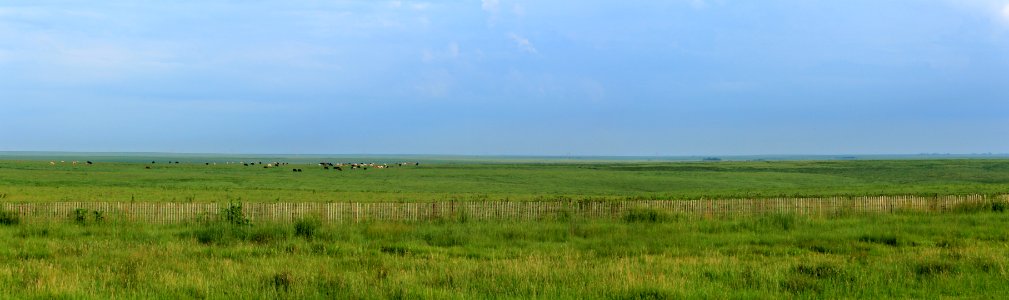 So, that's what you call "Kansas", huh?