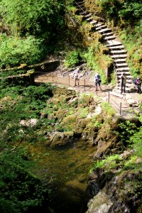 Aira Force 01 photo