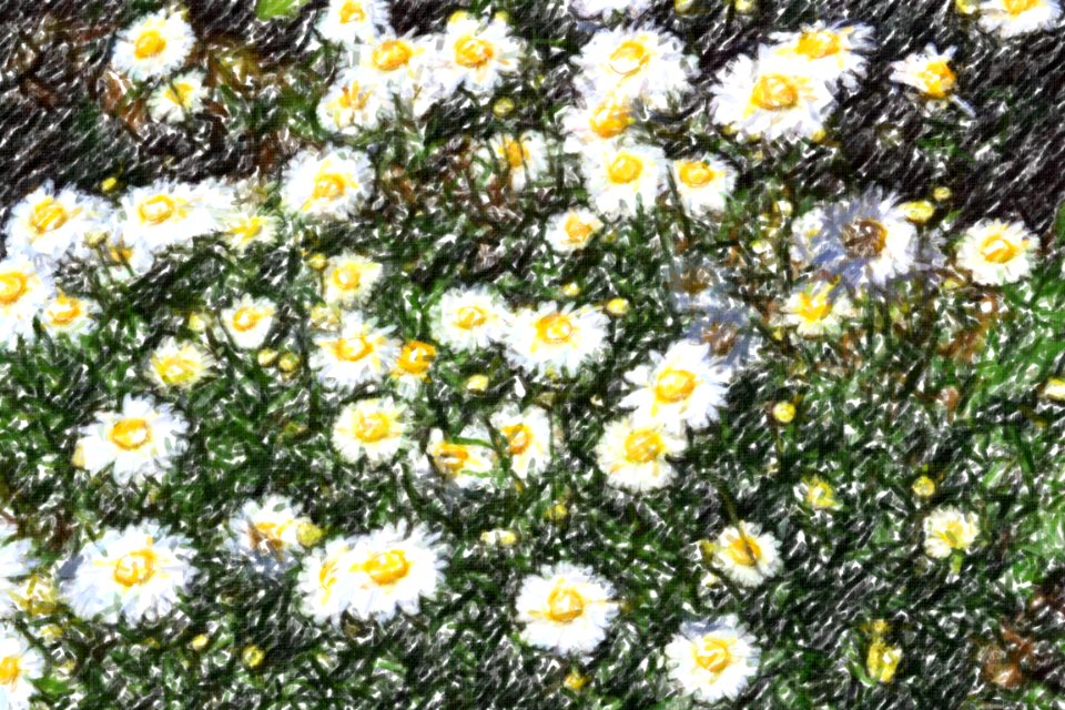 flowers (63)-crayon