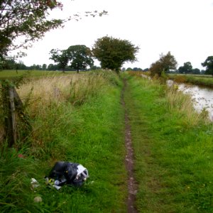 Keep Britain Tidy