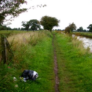 Keep Britain Tidy photo