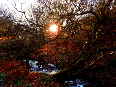 A walk on the Quantocks, Somerset.