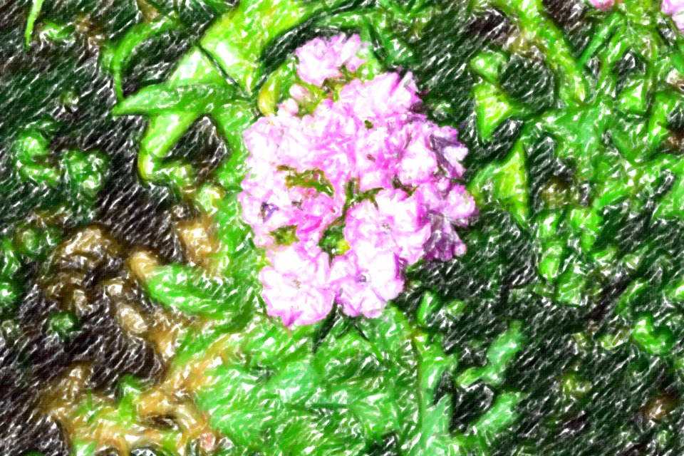 flowers (38)-crayon
