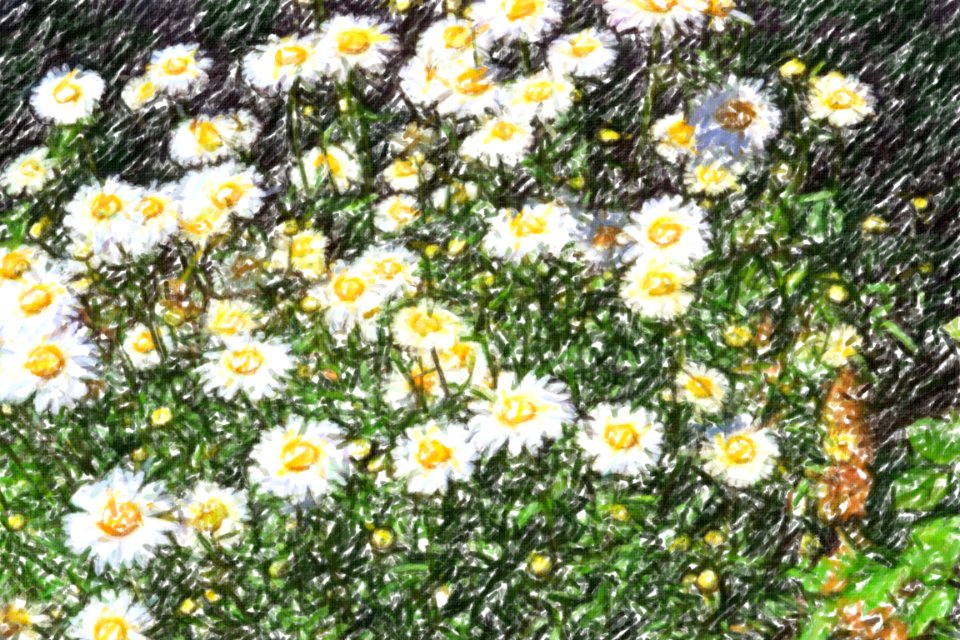 flowers (62)-crayon