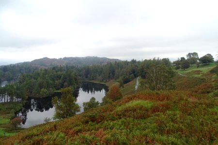 Tarn Hows 03 photo