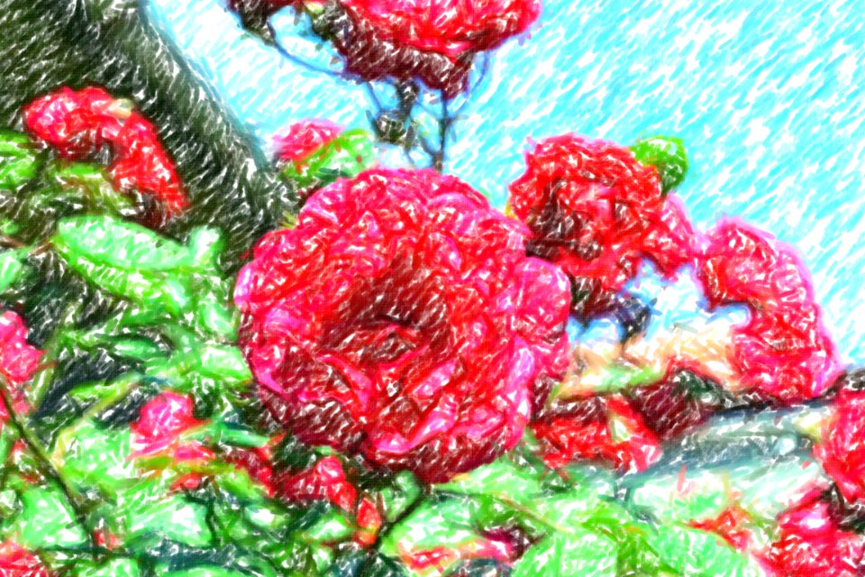 flowers (43)-crayon