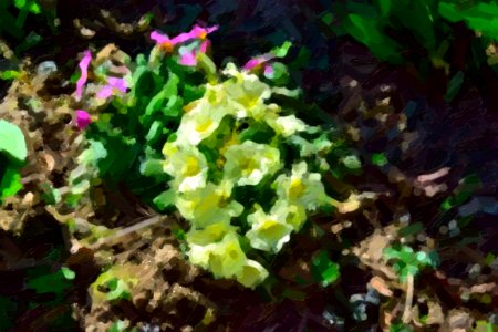 digital paintings