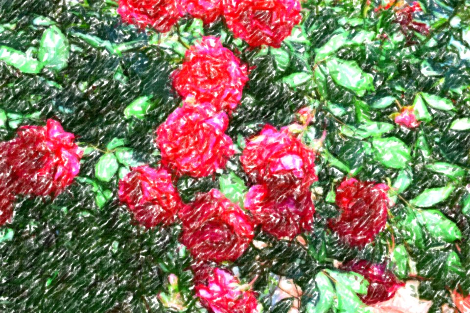 flowers (59)-crayon