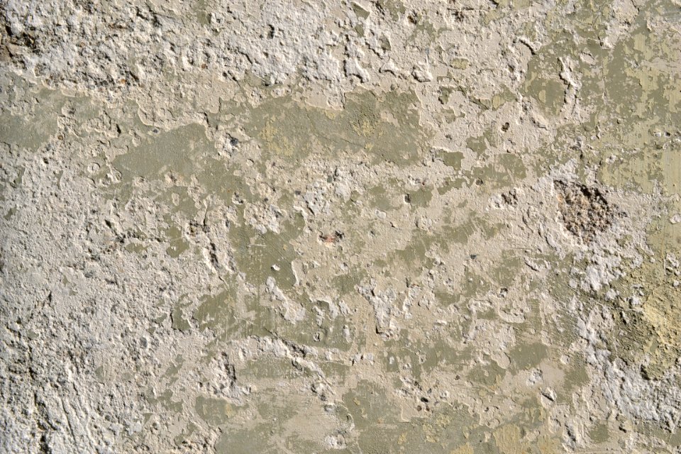 wall