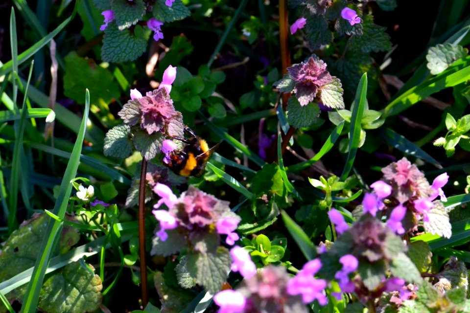 Spring 2014