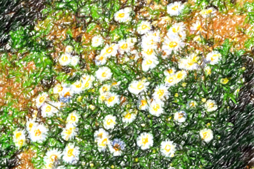 flowers (75)-crayon