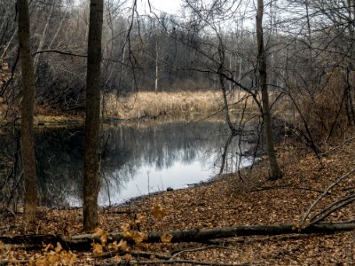 maybury 0032