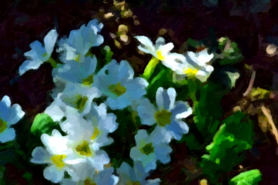 digital paintings