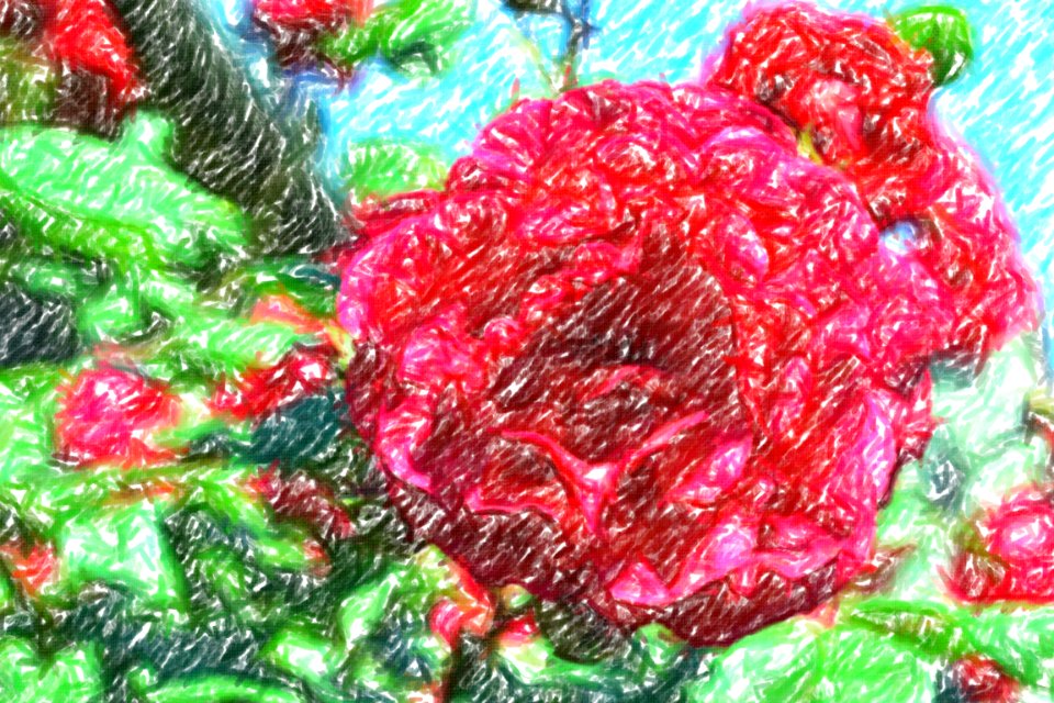 flowers (44)-crayon
