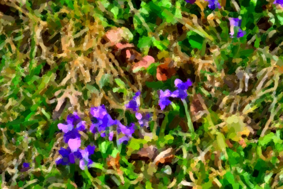 digital paintings
