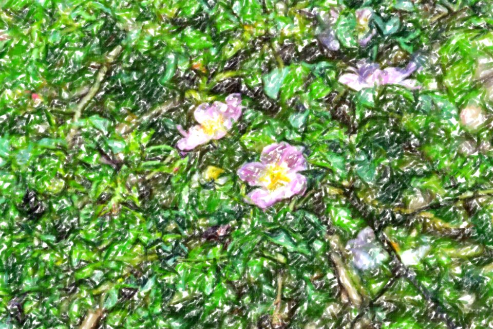 flowers (69)-crayon