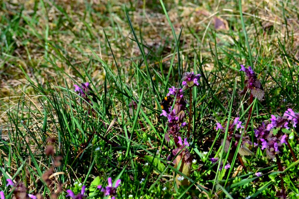 Spring 2014