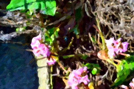 digital paintings