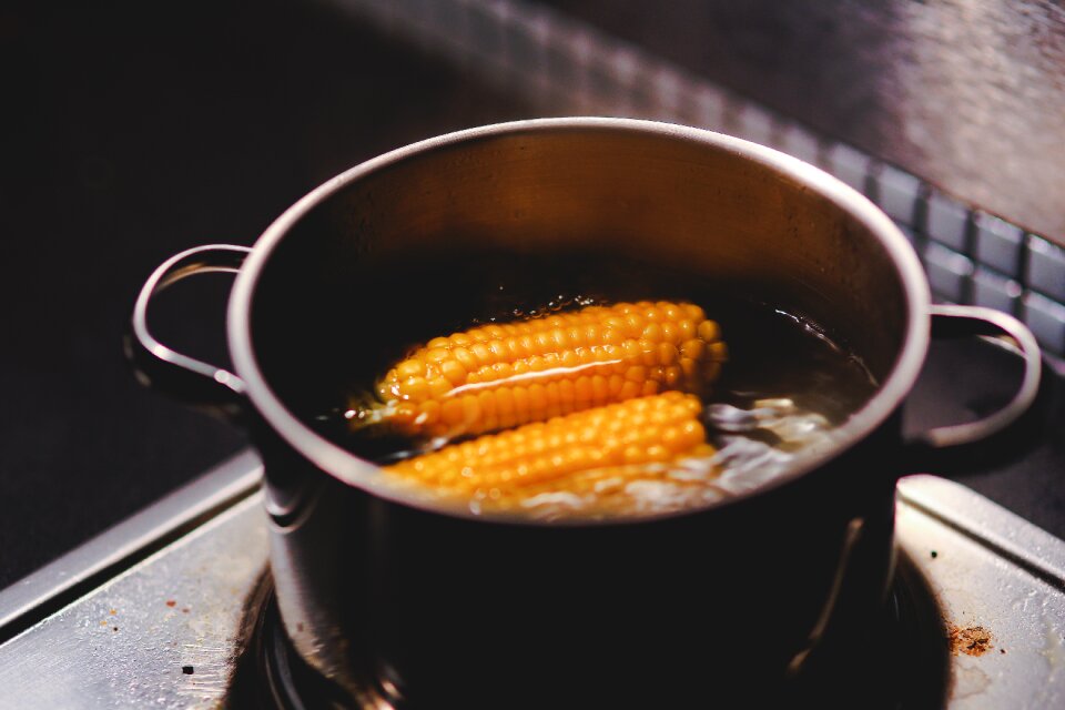 Food water gray food