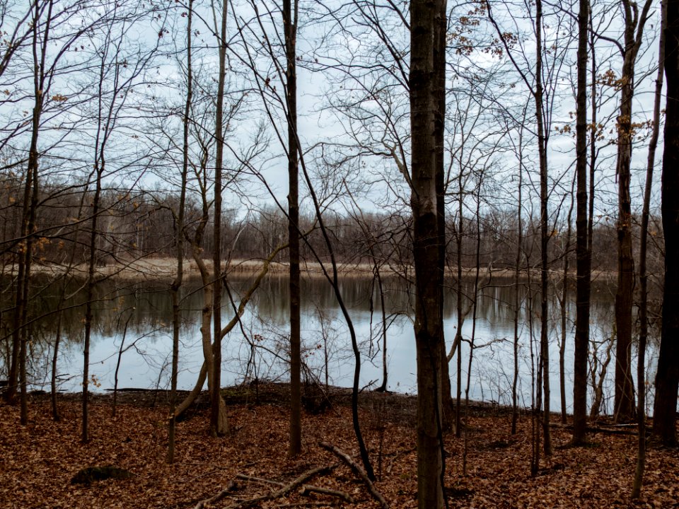 maybury 0022