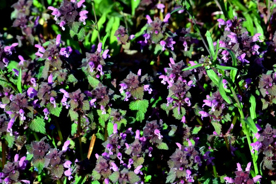Spring 2014