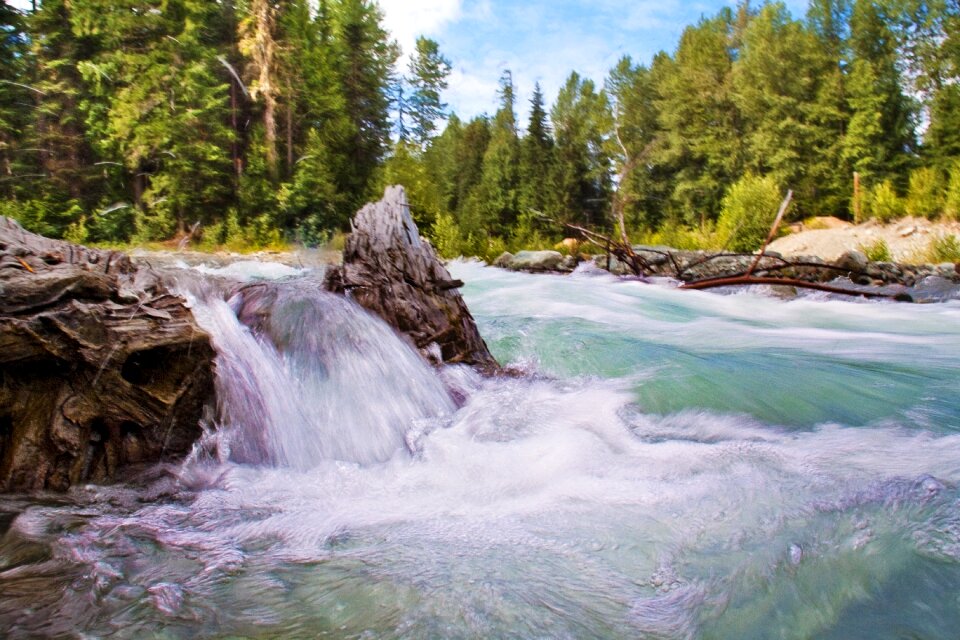 Stream nature water photo