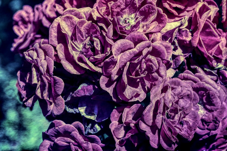 digital painting (3)