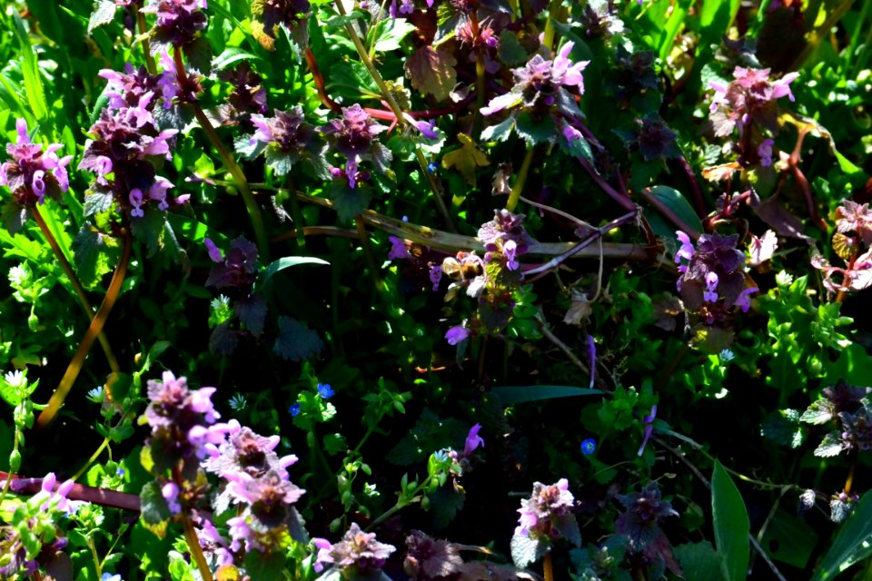 Spring 2014