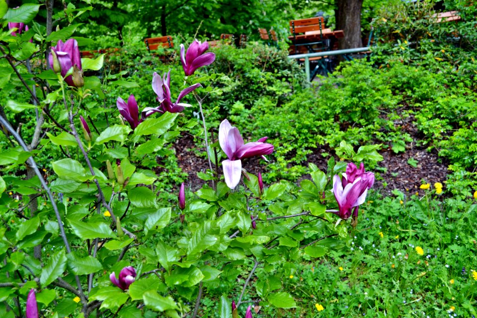 zoological garden