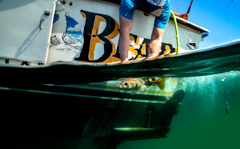 SBNMS Charter Fishing