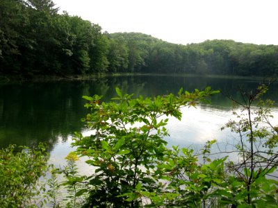 08BowmanLake 3046