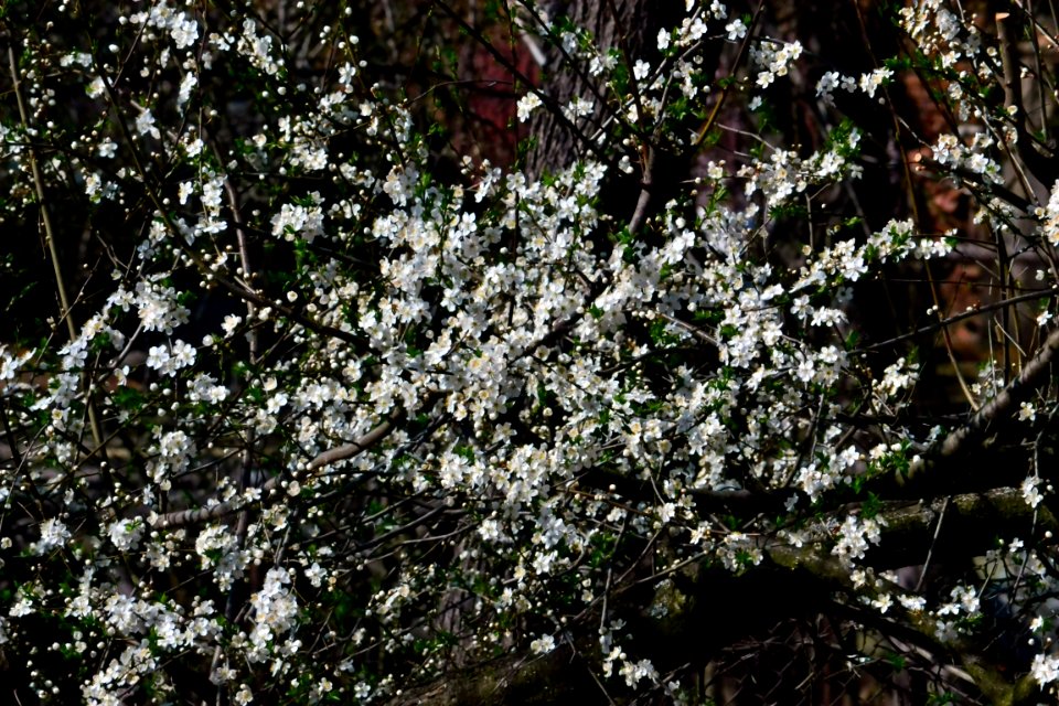 Spring 2014