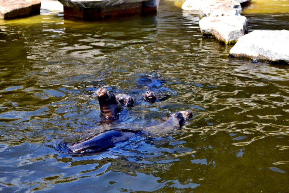 zoological garden