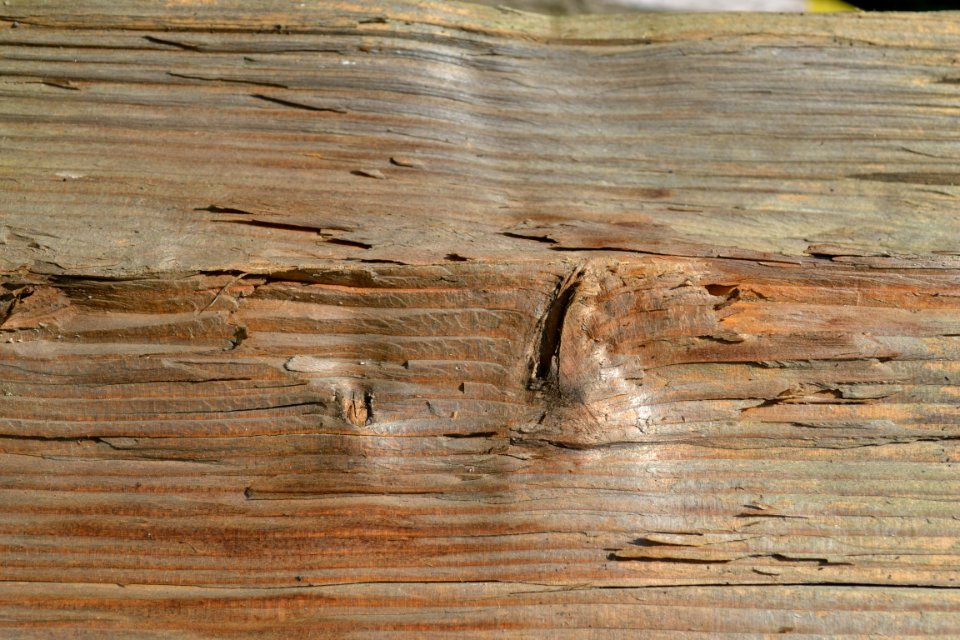 wood